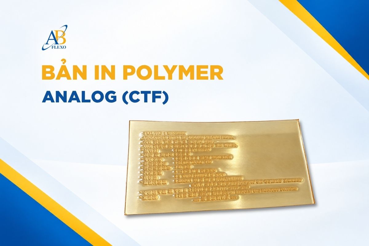 Chế Bản In Analog (CTF)
