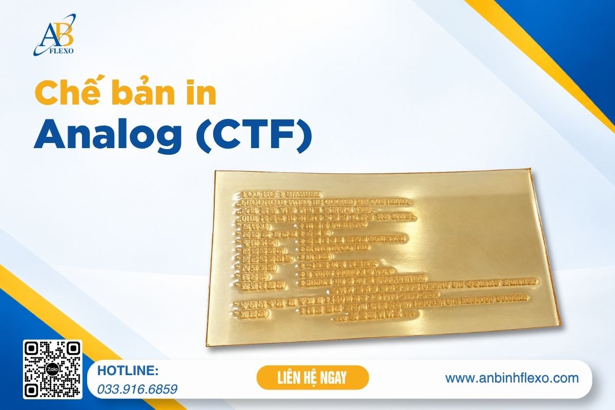 Chế Bản In Analog (ctf)