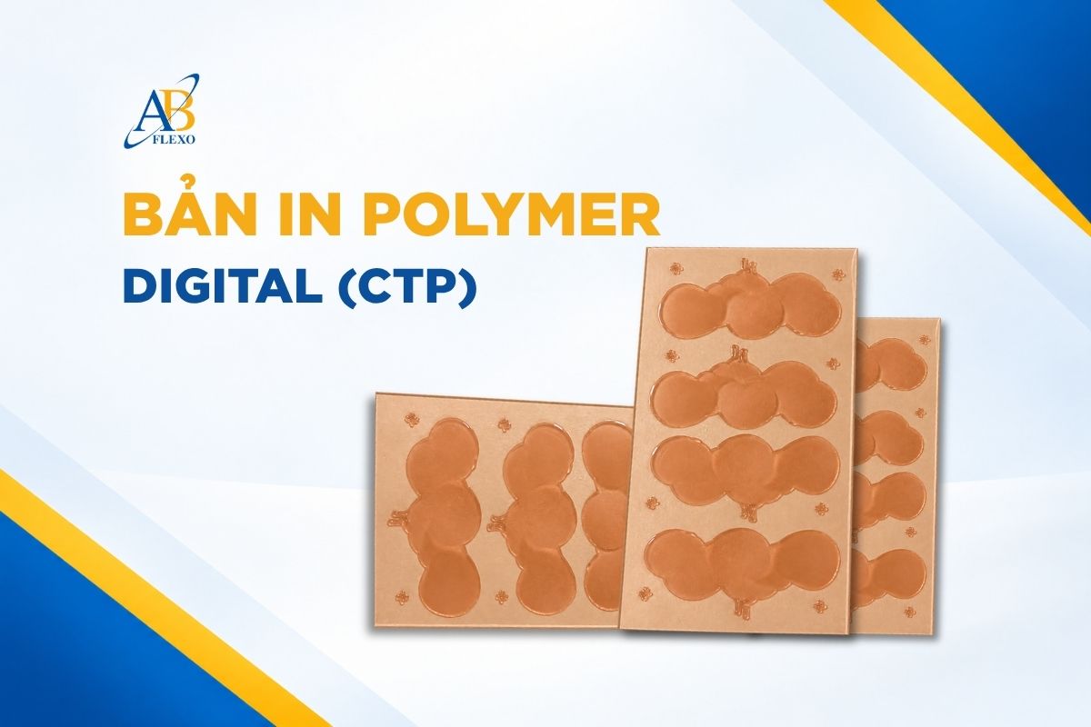 Chế Bản In Digital (CTP)