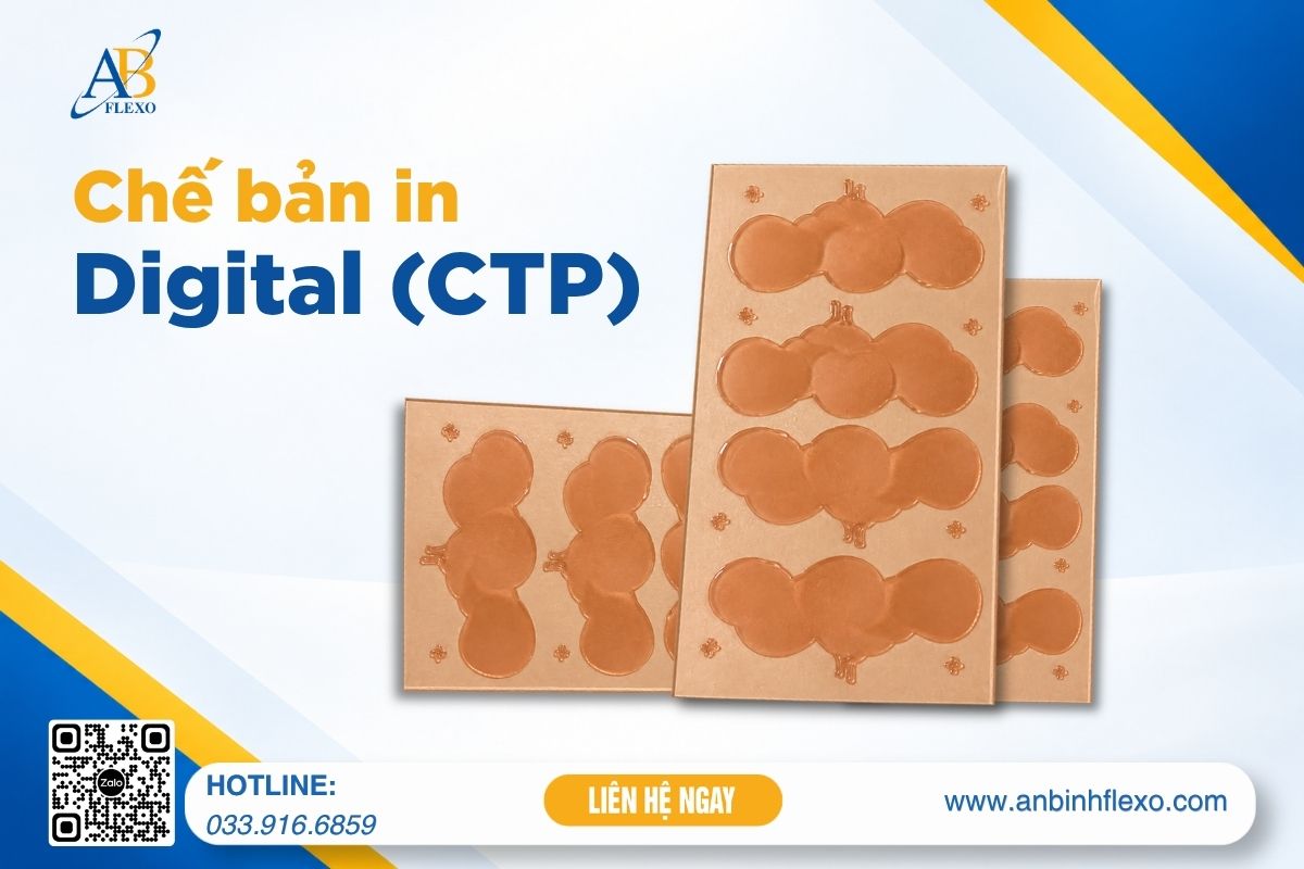 Chế Bản In Digital (ctp)