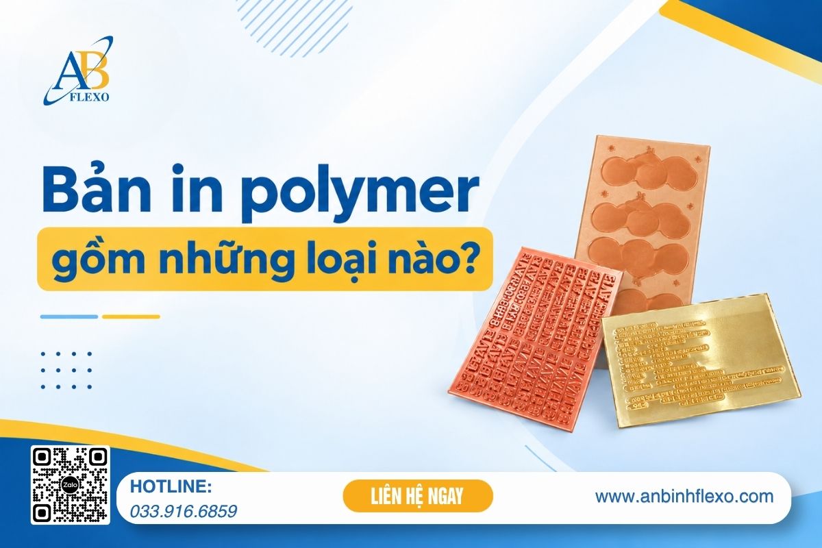 Bản In Polymer Gồm Những Loại Nào? Phân Biệt 3 Loại Phổ Biến
