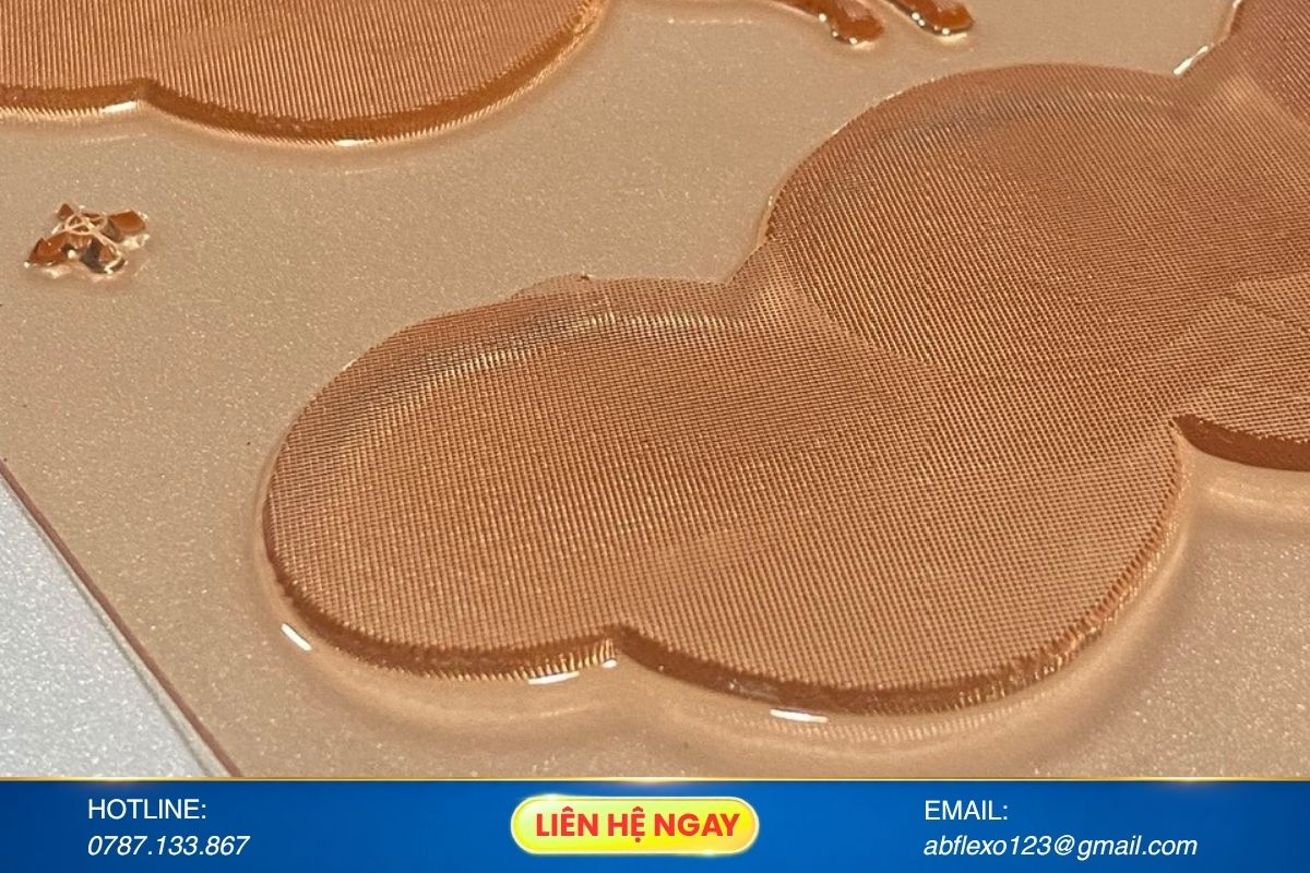 So Sánh Bản In Polymer Lỏng, Khô, Digital: Doanh Nghiệp Bao Bì Nên Chọn Loại Nào?